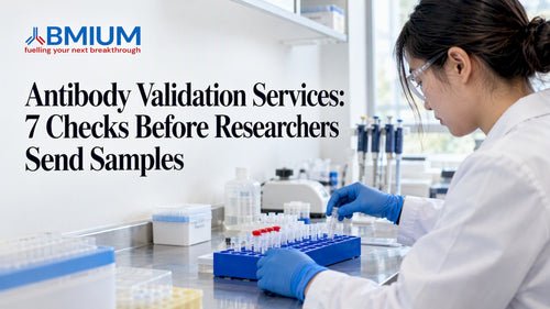 Researcher preparing control samples for validation