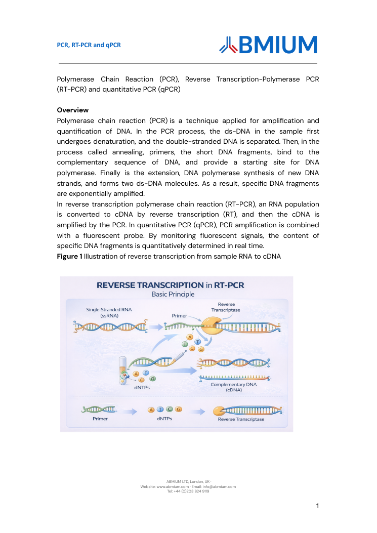 PCR RT-PCR and qPCR protocol cover