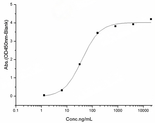 Measured by its binding ability in a functional ELISA. Immobilized human ACE2 protein (Fc tag)(Cat: PKSH031870) at 2 μg/mL (100 μL/well) can bind SARS-CoV-2 (2019-nCoV) Spike RBD-His (K458R) Recombinant Protein (PKSR030525), the EC<sub>50</sub> of SARS-CoV-2 (2019-nCoV) Spike RBD-His (K458R) Recombinant Protein (PKSR030525) is 20-50 ng/mL.