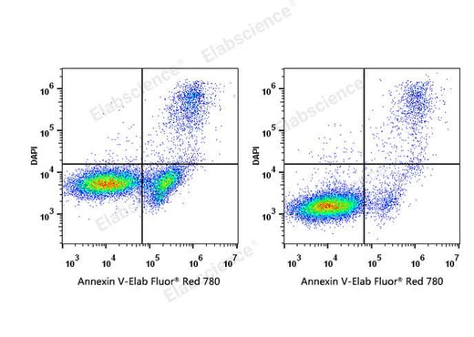 Annexin V-Elab Fluor® Red 780/DAPI Apoptosis Kit - ABMIUM