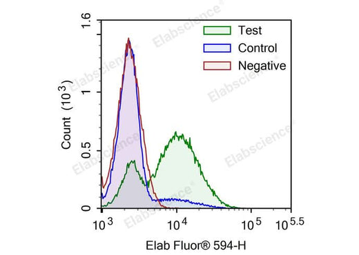 Camptothecin-induced apoptosis in HL-60 cells. Test: HL-60 cells were treated with 2.5 μM Camptothecin for 4h. Control: Normal HL-60 cells were not treated with drugs. Negative: HL-60 cells were treated with 2.5 μM camptothecin for 4h without TdT enzyme.