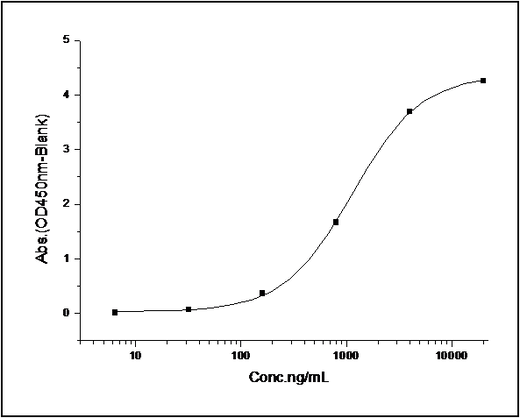 Measured by its binding ability in a functional ELISA. Immobilized Rat PCSK9 at 10 μg/ml (100 μl/well) can bind biotinylated recombinant mouse LDLR . The EC<sub>50</sub> of biotinylated mouse LDLR is 0.173 μg/ml.