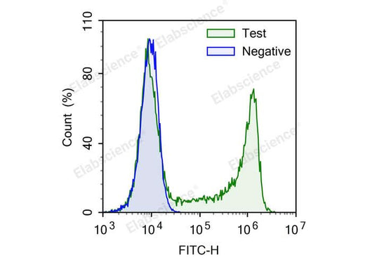Test: Jurkat cells were treated with 10 μM EdU for 4 hours. Negative: Jurkat cells without EdU.