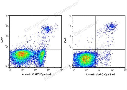 Annexin V-APC/Cyanine7/DAPI Apoptosis Kit - ABMIUM