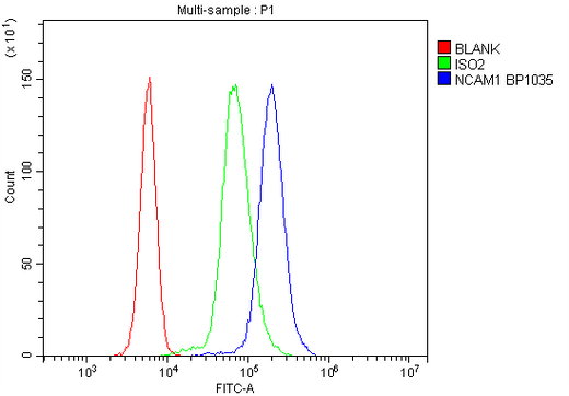 Anti-NCAM1 Antibody Picoband® Boster Bio