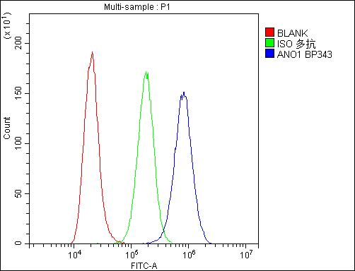 Anti-TMEM16A/ANO1 Antibody Picoband® Boster Bio