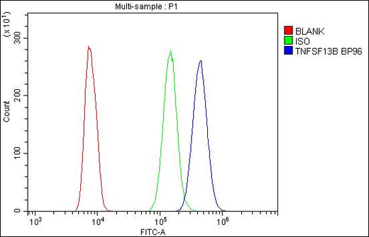 Anti-BAFF/TNFSF13B Antibody Picoband® Boster Bio