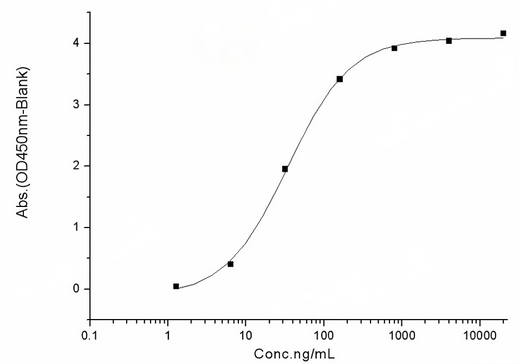 Measured by its binding ability in a functional ELISA. Immobilized human ACE2 protein (Fc tag)(Cat: PKSH031870) at 2 μg/mL (100 μL/well) can bind SARS-CoV-2 (2019-nCoV) Spike RBD-His (V483A) Recombinant Protein (PKSR030527), the EC<sub>50</sub> of SARS-CoV-2 (2019-nCoV) Spike RBD-His (V483A) Recombinant Protein (PKSR030527) is 20-50 ng/mL.