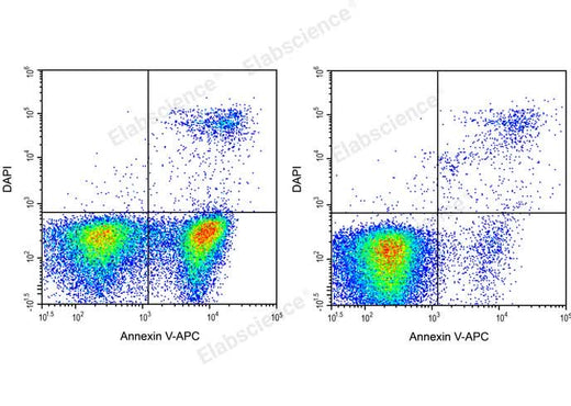 Annexin V-APC/DAPI Apoptosis Kit - ABMIUM