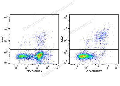 Annexin V-APC/7-AAD Apoptosis Kit - ABMIUM