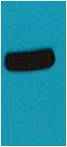 AmCyan-Tag Rabbit pAb