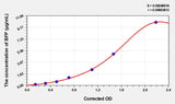 Sheep sIgA(Secretory Immunoglobulin A) ELISA Kit