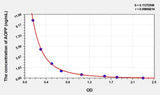 Horse AOPP(Advanced Oxidation Protein Products) ELISA Kit