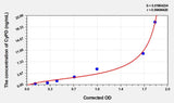 Mouse CyPD(Cyclophilin D) ELISA Kit