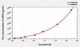 Mouse LRP6(Low Density Lipoprotein Receptor Related Protein 6) ELISA Kit