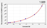 Human CASP12(Caspase 12) ELISA Kit
