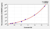 Rat SREBP2(Sterol Regulatory Element-binding Protein 2) ELISA Kit