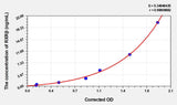 Mouse RXRβ(Retinoic Acid Receptor RXR-beta) ELISA Kit