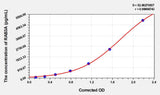 Rat RAB3A(Ras-Related Protein Rab-3A) ELISA Kit
