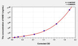 Rat NHE1(Sodium/Hydrogen Exchanger 1) ELISA Kit
