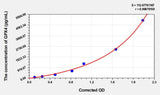 Rat GPX4(Glutathione Peroxidase 4) Microsample ELISA Kit 96T*5