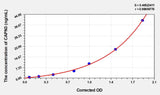 Rat CAPN3(Calpain 3) ELISA Kit 96T*5