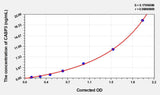 Pig CASP3(Caspase 3) ELISA Kit 96T*5