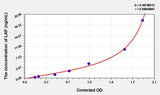Mouse LAP(Leucine Aminopeptidase) ELISA Kit 96T*5