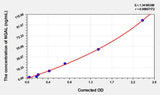 Mouse NGAL(Neutrophil Gelatinase Associated Lipocalin) ELISA Kit 96T*5