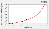 Rat AQP4(Aquaporin 4) ELISA Kit 96T*5