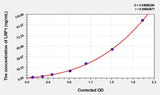Human LRP1(Low Density Lipoprotein Receptor Related Protein 1) ELISA Kit 96T*5