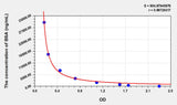 BSA(Bovine Serum Albumin) ELISA Kit 96T*5