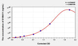 Rat S100A11(S100 Calcium Binding Protein A11) ELISA Kit