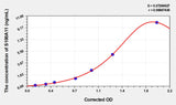 Rat S100A11(S100 Calcium Binding Protein A11) ELISA Kit 96T*5