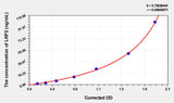 Human LRP2(Low Density Lipoprotein Receptor Related Protein 2) ELISA Kit 96T*5