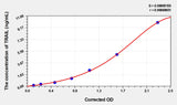 Mouse TRAIL(Tumor Necrosis Factor Related Apoptosis Inducing Ligand) ELISA Kit 96T*5