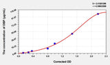 Rat DBP(D Site Of Albumin Promoter Binding Protein) ELISA Kit