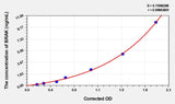 Rat BRAK(Breast And Kidney Expressed Chemokine) ELISA Kit