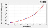Rat LRP2(Low Density Lipoprotein Receptor Related Protein 2) Microsample ELISA Kit