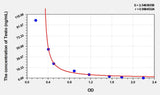 Rat Testo(Testosterone) ELISA Kit
