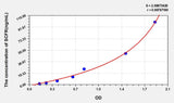 Human SCFR(Stem Cell Factor Receptor) ELISA Kit