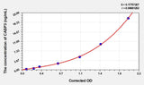 Rat CASP3(Caspase 3) Microsample ELISA Kit 96T*5