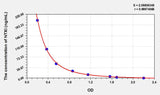 Rat NTXI(Cross Linked N-Telopeptide Of Type I Collagen) ELISA Kit 96T*5