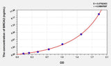 Human BRCA2(Breast Cancer Susceptibility Protein 2) ELISA Kit 96T*5
