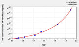 Human VEGFR2(Vascular Endothelial Growth Factor Receptor 2) ELISA Kit 96T*5