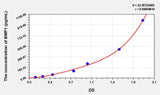 Human BMP1(Bone Morphogenetic Protein 1) ELISA Kit 96T*5