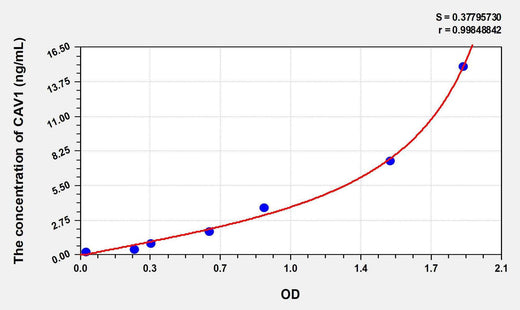 Human CAV1(Caveolin 1) ELISA Kit