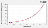 Human LOX1(Lectin Like Oxidized Low Density Lipoprotein Receptor 1) Microsample ELISA Kit 96T*5