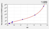Mouse FOXP3(Forkhead Box Protein P3) ELISA Kit