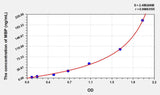 Human MBP(Myelin Basic Protein) ELISA Kit